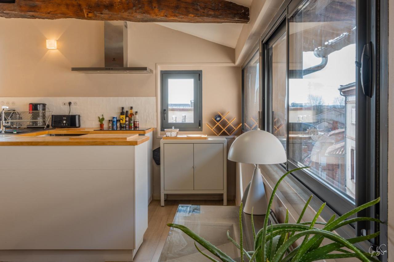 La Terrasse De La Piale Lägenhet Albi Exteriör bild